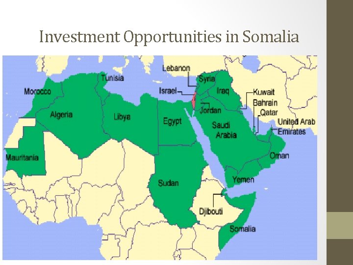 Investment Opportunities in Somalia 