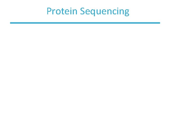Protein Sequencing 