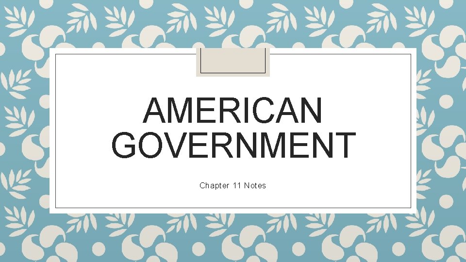 AMERICAN GOVERNMENT Chapter 11 Notes 