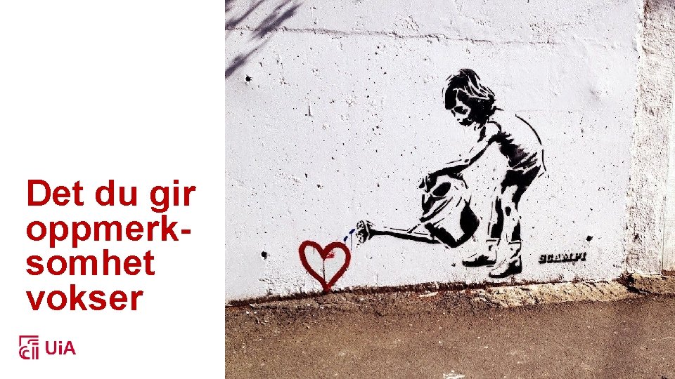 Det du gir oppmerksomhet vokser 