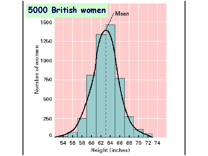 5000 British women 