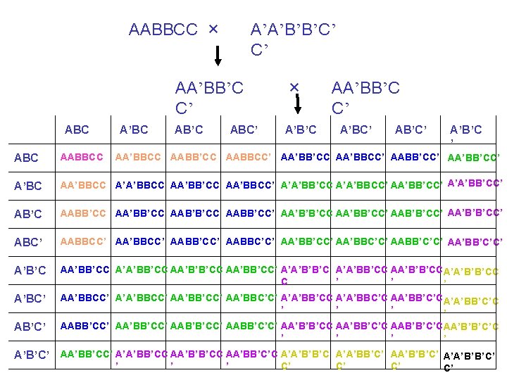 A’A’B’B’C’ C’ AABBCC × AA’BB’C C’ A’BC AB’C ABC’ × A’B’C AA’BB’C C’ A’BC’
