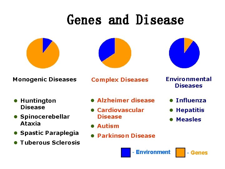 Genes and Disease Environmental Diseases Monogenic Diseases Complex Diseases l Huntington Disease l Alzheimer