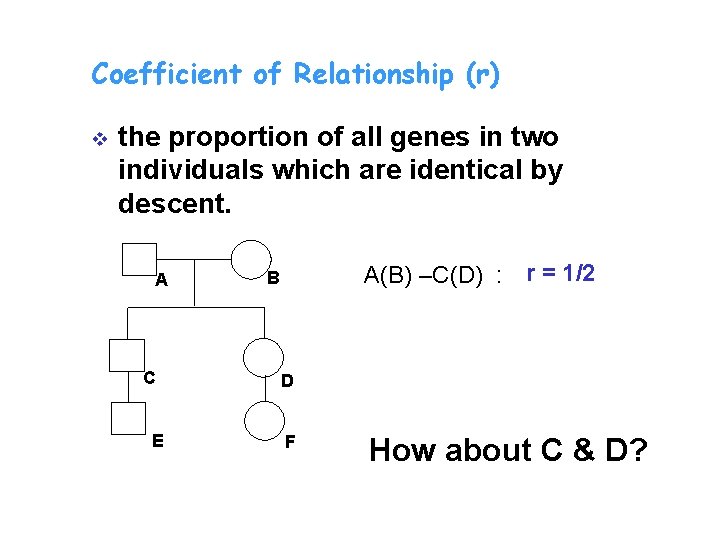 Coefficient of Relationship (r) v the proportion of all genes in two individuals which