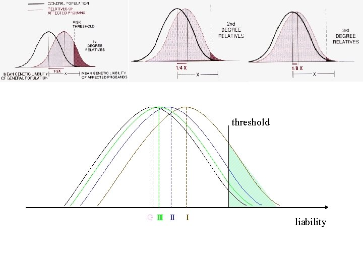 threshold G Ⅲ Ⅱ Ⅰ liability 