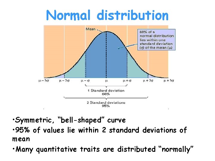 Normal distribution • Symmetric, “bell-shaped” curve • 95% of values lie within 2 standard