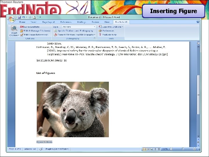 Inserting Figure 