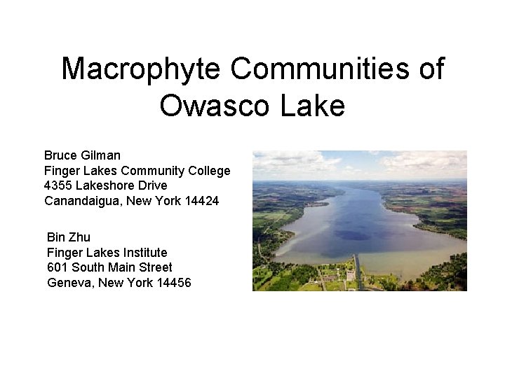 Macrophyte Communities of Owasco Lake Bruce Gilman Finger Lakes Community College 4355 Lakeshore Drive