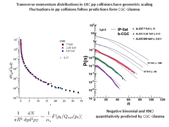 Transverse momentum distributions in LHC pp collisions have geometric scaling Fluctuations in pp collisions