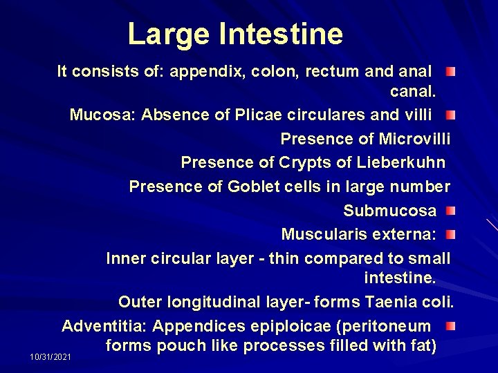 Large Intestine It consists of: appendix, colon, rectum and anal canal. Mucosa: Absence of