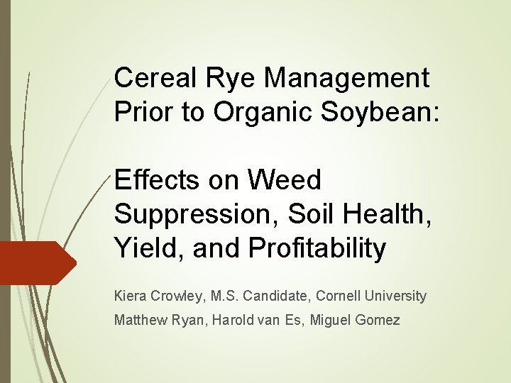 Cereal Rye Management Prior to Organic Soybean: Effects on Weed Suppression, Soil Health, Yield,