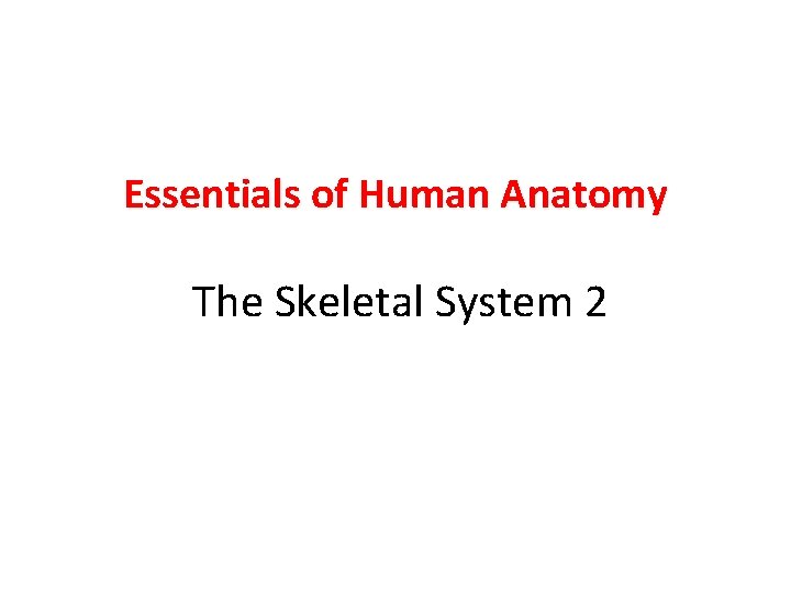 Essentials of Human Anatomy The Skeletal System 2 