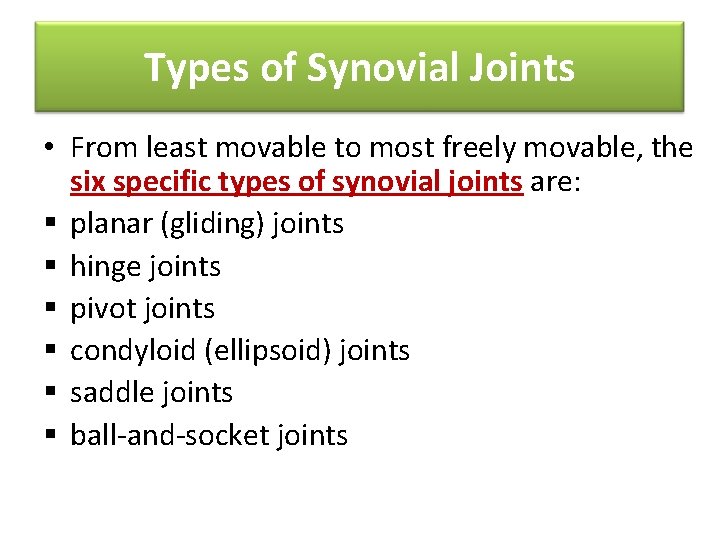 Types of Synovial Joints • From least movable to most freely movable, the six