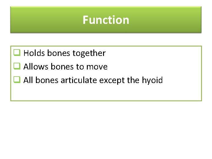 Function q Holds bones together q Allows bones to move q All bones articulate