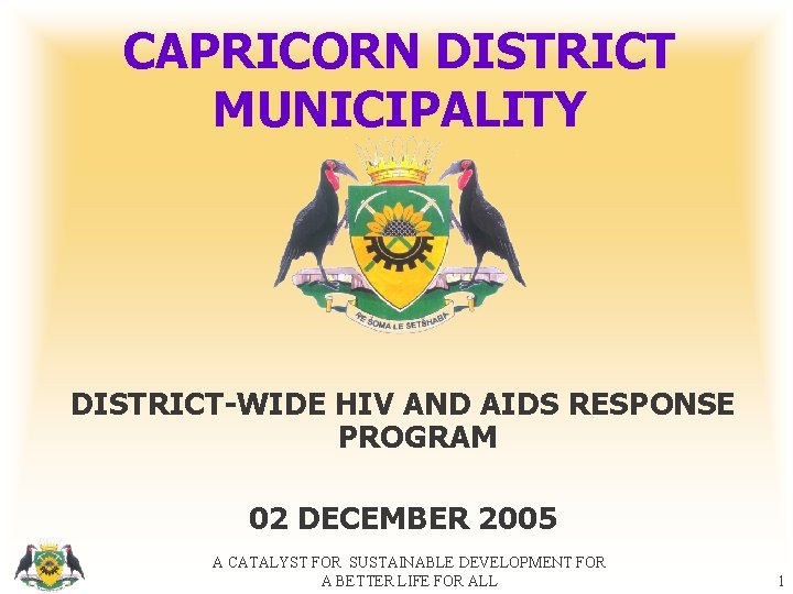 CAPRICORN DISTRICT MUNICIPALITY DISTRICT-WIDE HIV AND AIDS RESPONSE PROGRAM 02 DECEMBER 2005 A CATALYST