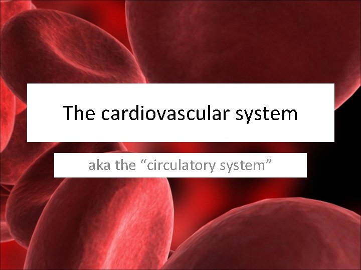 The cardiovascular system aka the “circulatory system” 