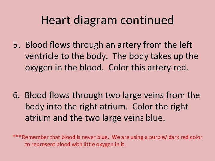 Heart diagram continued 5. Blood flows through an artery from the left ventricle to