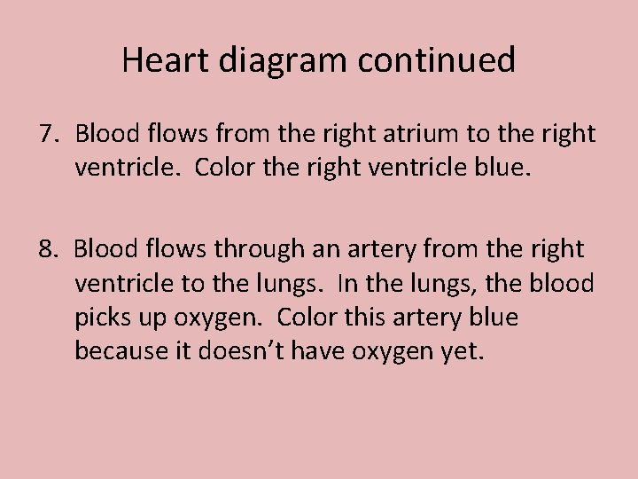 Heart diagram continued 7. Blood flows from the right atrium to the right ventricle.