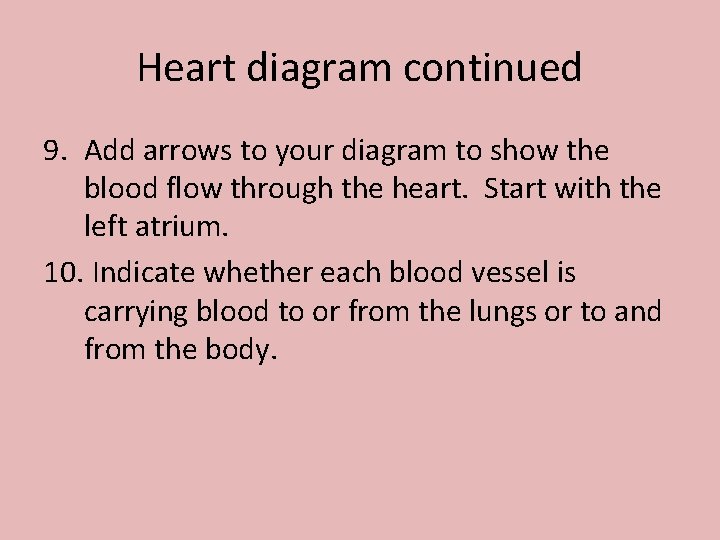 Heart diagram continued 9. Add arrows to your diagram to show the blood flow