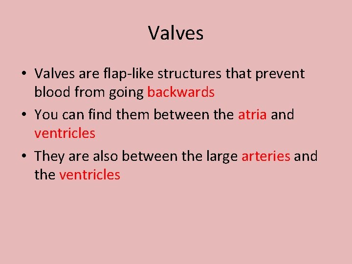 Valves • Valves are flap-like structures that prevent blood from going backwards • You