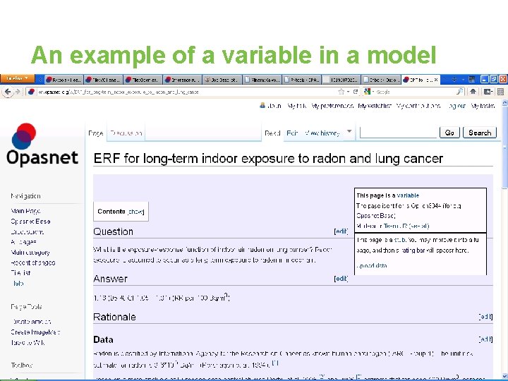 An example of a variable in a model 