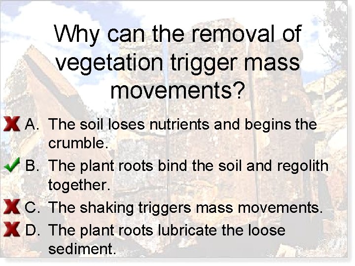 Why can the removal of vegetation trigger mass movements? A. The soil loses nutrients