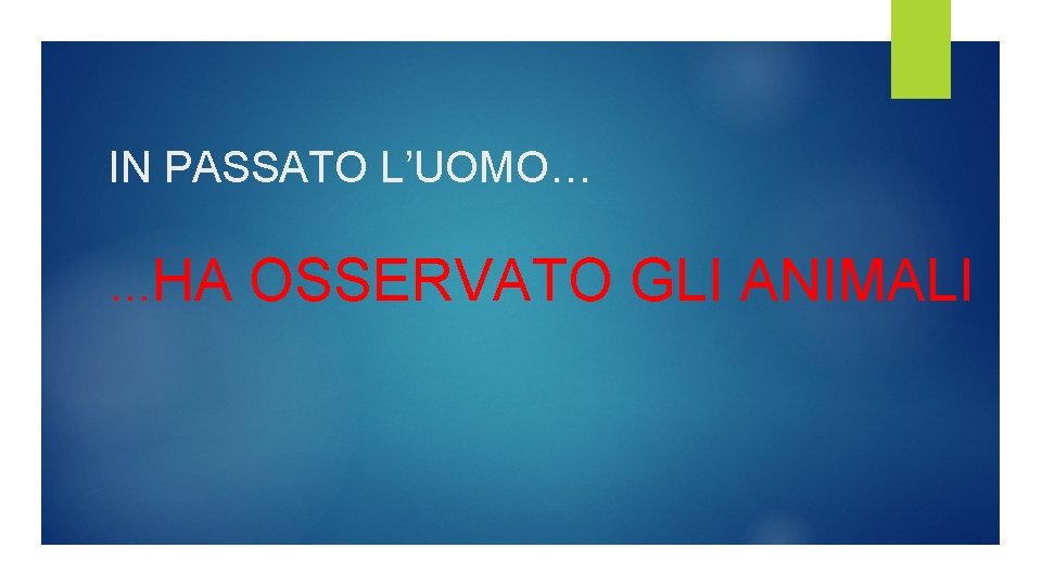 IN PASSATO L’UOMO… …HA OSSERVATO GLI ANIMALI IN PASSATO L’UOMO… …HA OSSERVATO GLI ANIMALI