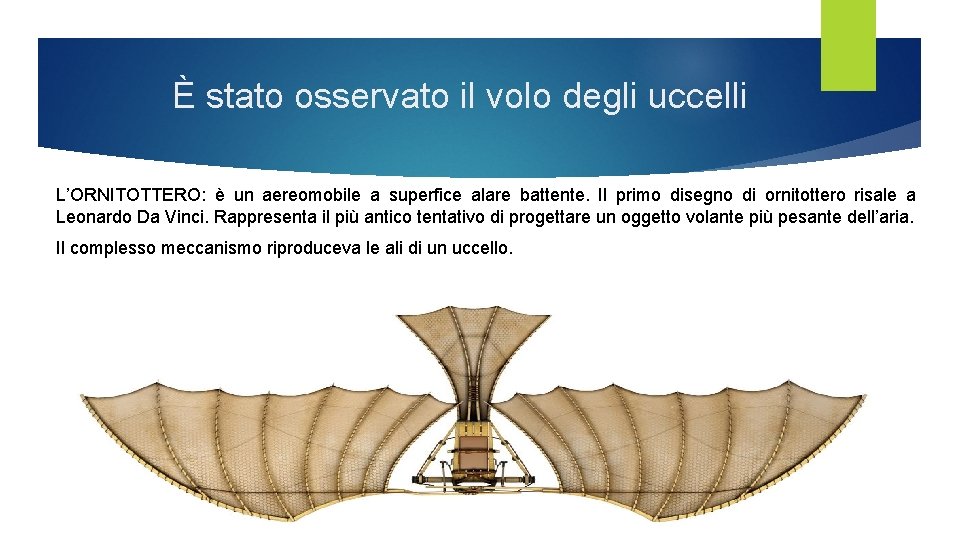 È stato osservato il volo degli uccelli L’ORNITOTTERO: è un aereomobile a superfice alare È stato osservato il volo degli uccelli L’ORNITOTTERO: è un aereomobile a superfice alare