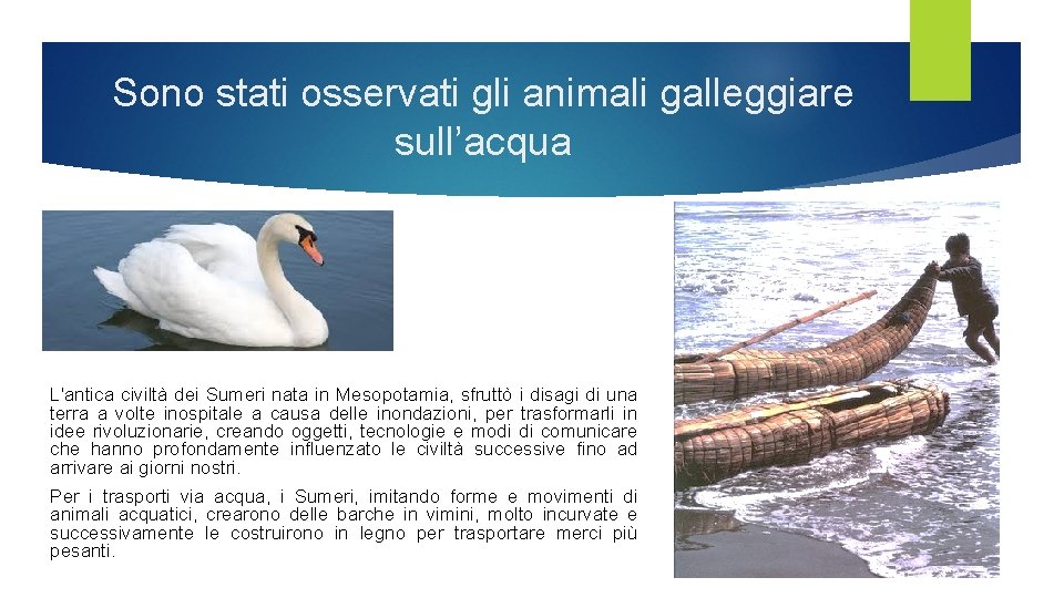 Sono stati osservati gli animali galleggiare sull’acqua L'antica civiltà dei Sumeri nata in Mesopotamia, Sono stati osservati gli animali galleggiare sull’acqua L'antica civiltà dei Sumeri nata in Mesopotamia,