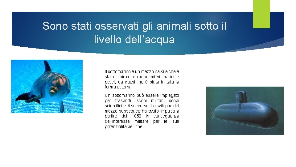 Sono stati osservati gli animali sotto il livello dell’acqua Il sottomarino è un mezzo Sono stati osservati gli animali sotto il livello dell’acqua Il sottomarino è un mezzo