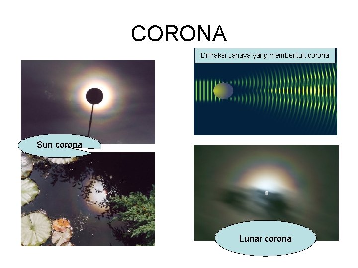 CORONA Diffraksi cahaya yang membentuk corona Sun corona Lunar corona 