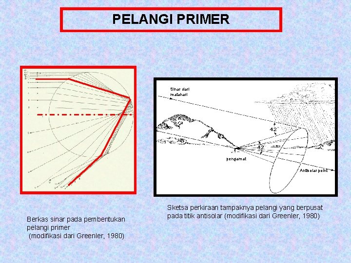 PELANGI PRIMER Sinar dari matahari pengamat Antisolar point Berkas sinar pada pembentukan pelangi primer