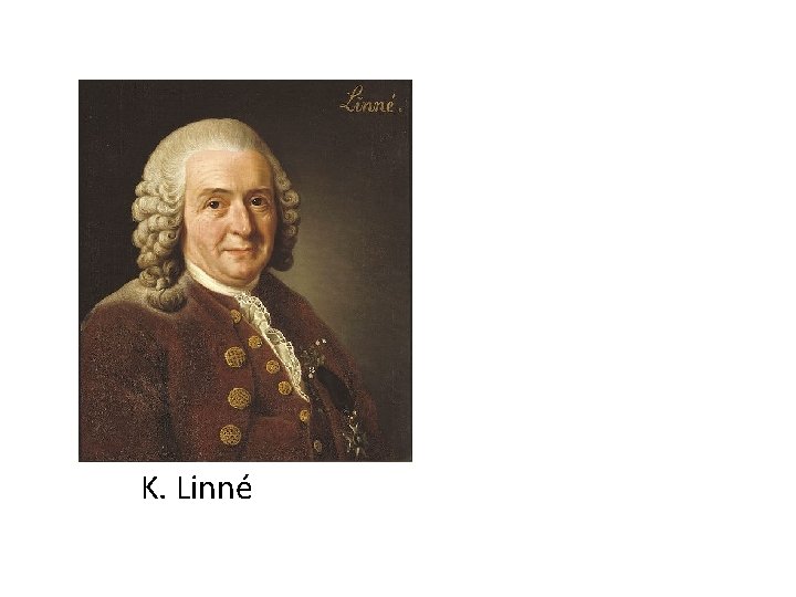 K. Linné 