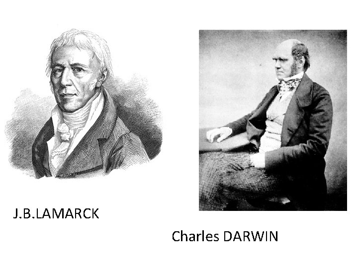 q J J. B. LAMARCK Charles DARWIN 