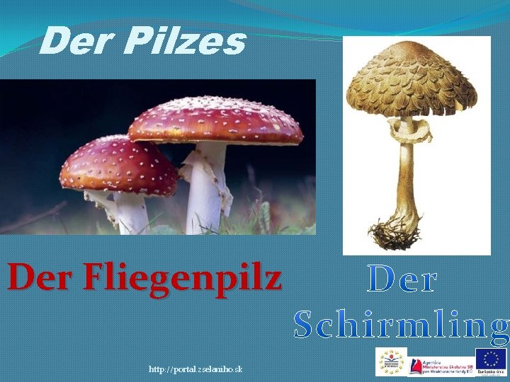 Der Pilzes Der Fliegenpilz http: //portal. zselaniho. sk 