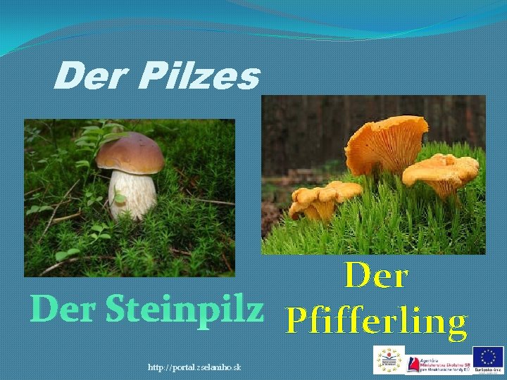 Der Pilzes Der Steinpilz Pfifferling http: //portal. zselaniho. sk 