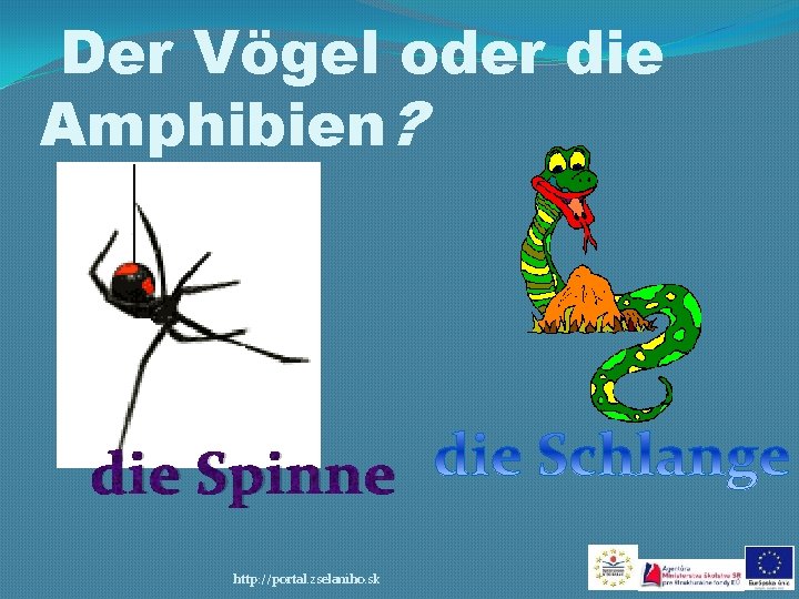 Der Vögel oder die Amphibien? die Spinne http: //portal. zselaniho. sk 