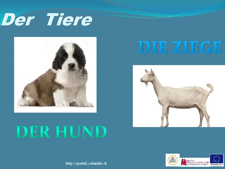 Der Tiere DIE ZIEGE http: //portal. zselaniho. sk 