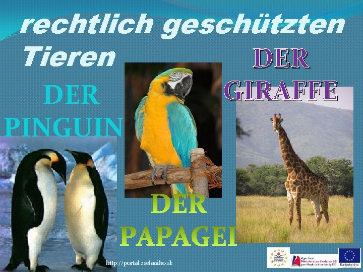 rechtlich geschützten Tieren DER PINGUINS http: //portal. zselaniho. sk GIRAFFE 