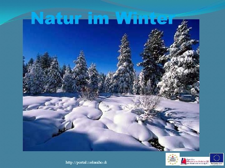 Natur im Winter http: //portal. zselaniho. sk 