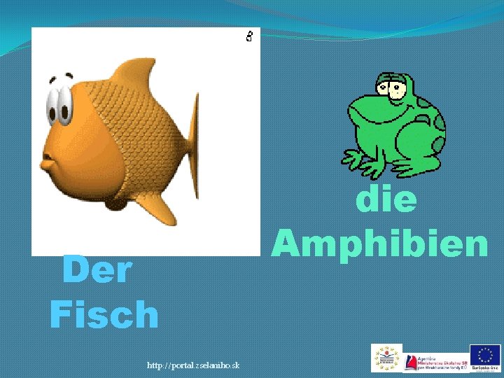 Der Fisch http: //portal. zselaniho. sk die Amphibien 