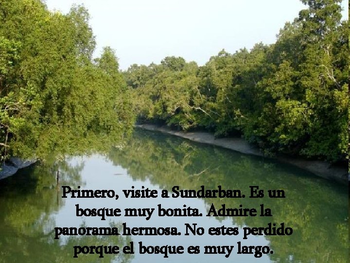 Primero, visite a Sundarban. Es un bosque muy bonita. Admire la panorama hermosa. No