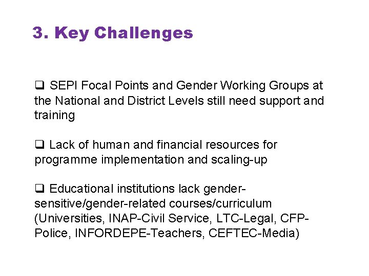 3. Key Challenges q SEPI Focal Points and Gender Working Groups at the National