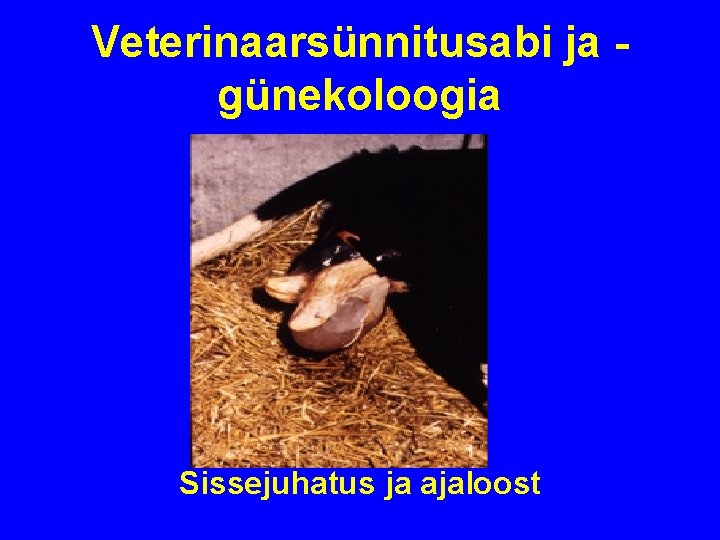 Veterinaarsünnitusabi ja günekoloogia Sissejuhatus ja ajaloost 