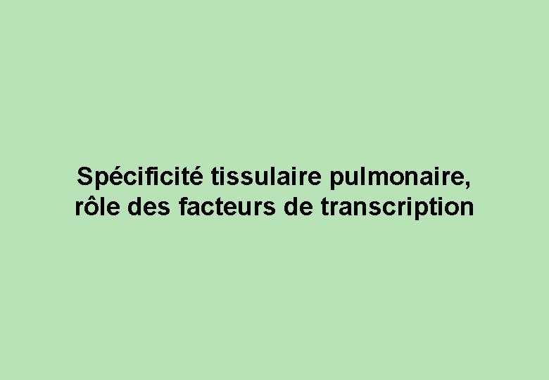 Spécificité tissulaire pulmonaire, rôle des facteurs de transcription 