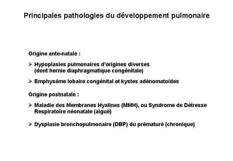 Principales pathologies du développement pulmonaire Origine ante-natale : Ø Hypoplasies pulmonaires d’origines diverses (dont