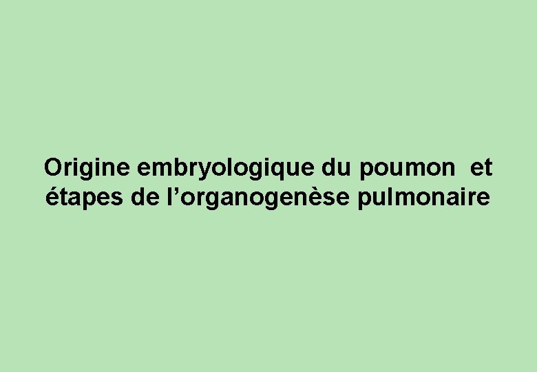 Origine embryologique du poumon et étapes de l’organogenèse pulmonaire 