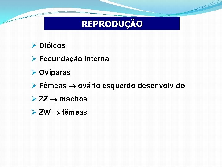 REPRODUÇÃO Ø Dióicos Ø Fecundação interna Ø Ovíparas Ø Fêmeas ovário esquerdo desenvolvido Ø