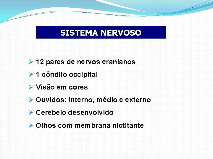 SISTEMA NERVOSO Ø 12 pares de nervos cranianos Ø 1 côndilo occipital Ø Visão