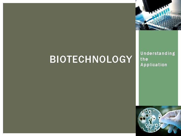 BIOTECHNOLOGY Understanding the Application 